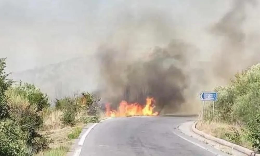 Φωτιά στην Αρκαδία: Με εγκαύματα στο νοσοκομείο ο αντιδήμαρχος Πολιτικής Προστασίας Μεγαλόπολης